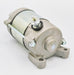 Starter Motor RICKS