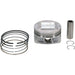 Cast Replica Piston Kit 81.95/Std Can VERTEX