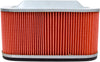 Air Filter EMGO