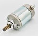 Starter Motor RICKS