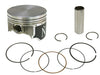 Piston Kit 80.48/+0.50 Kaw NAMURA