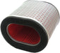 Air Filter HIFLOFILTRO