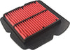 Air Filter HIFLOFILTRO