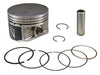 Piston Kit 79.45/+1.00 Pol NAMURA