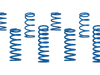 King Shocks 2022+ Polaris RZR Pro R 2/4 Seat Spring Set (8 Pcs) King Shocks