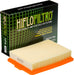 Air Filter HIFLOFILTRO