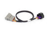 Haltech NEXUS Rebel LS 8-Pin DBW Adaptor (Plug-n-Play w/HT-186500) Haltech