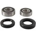 Rear Wheel Bearing Kit PIVOT WORKS