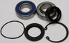 Chain Case Bearing & Seal Kit