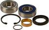 Chain Case Bearing & Seal Kit