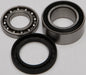 Chain Case Bearing & Seal Kit