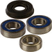 Chain Case Bearing & Seal Kit