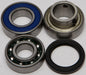 Chain Case Bearing & Seal Kit