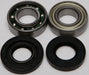 Chain Case Bearing & Seal Kit