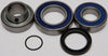 Chain Case Bearing & Seal Kit