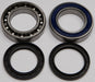 Track Shaft Bearing & Seal Kit