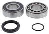 Jackshaft Bearing & Seal Kit