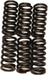 Clutch Springs Csk11