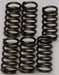 Clutch Springs Csk159