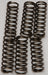 Clutch Springs Csk160