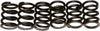 Clutch Springs Csk19