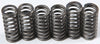 Clutch Springs Csk210