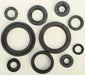 Oil Seal Set