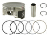 Piston Kit 102.47/+0.50 Hon