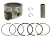 Piston Kit Nikasil Cyl 79.96/+0.01 11:1 Pol