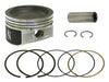 Piston Kit 79.96/+0.01 Pol