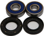 Wheel Bearing & Seal Kit