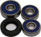 Wheel Bearing Kit Rear