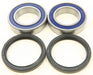 Rear Wheel Bearing Kit