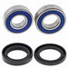 Wheel Bearing & Seal Kit