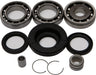 Rear Differential Bearing And Seal Kit