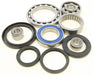 Rear Differential Bearing And Seal Kit