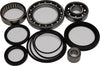 Rear Differential Bearing And Seal Kit