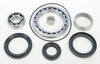 Rear Differential Bearing And Seal Kit