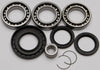 Rear Differential Bearing And Seal Kit