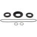 Differential Seal Kit