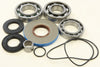 Rear Differential Bearing And Seal Kit