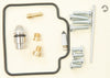 Carburetor Repair Kit