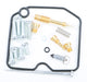 Carburetor Repair Kit