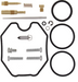 Carburetor Repair Kit