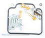 Carburetor Repair Kit