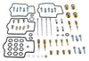 Bike Carburetor Rebuild Kit