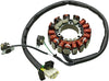 Stator Assembly