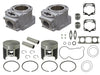 Cylinder Kit Pol