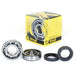 Crankshaft Bearing & Seal Kit Yam PROX