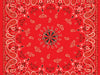 Bandanna Red Paisley ZAN